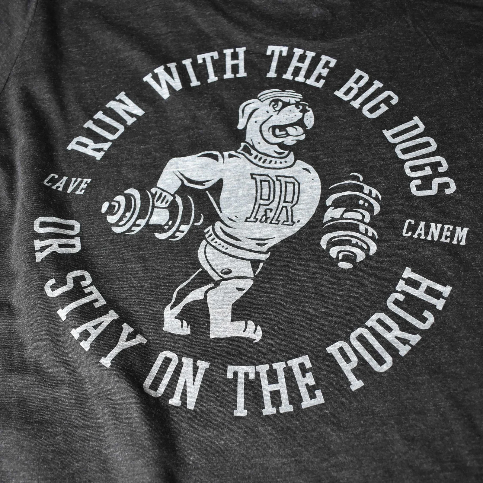 Beware the Dog Tee in Washed charcoal